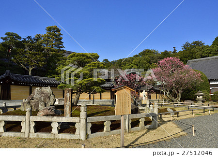 くろ谷 金戒光明寺 熊谷直実鎧掛けの松 くろ谷 金戒光明寺 熊谷直実鎧掛けの松 27512046