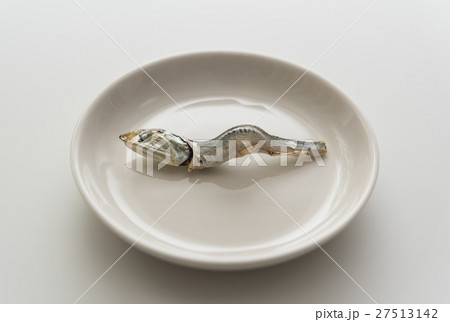 煮干 27513142