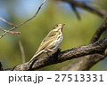 冬でも日溜まりはポカポカ 27513331