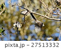 魔のトライアングル 27513332