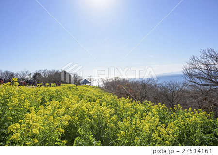 相模湾 相模湾 27514161