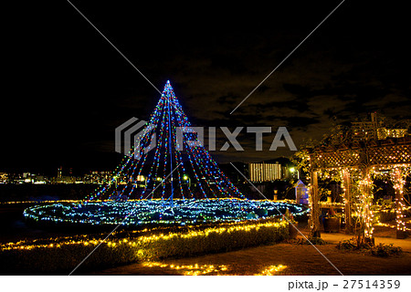 光の庭のRose Fantasy 光の庭のRose Fantasy 27514359