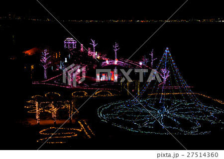 光の庭のRose Fantasy 27514360