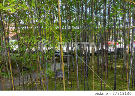 秋の松花堂庭園 27515130