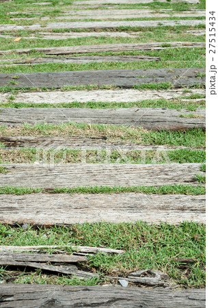 Walkway in the garden 27515434