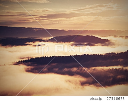 Autumn sunrise forest in mountain within inversion Autumn sunrise forest in mountain within inversion 27516673