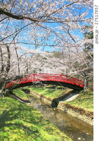 翠ヶ丘公園の桜(須賀川市) 翠ヶ丘公園の桜(須賀川市) 27517057