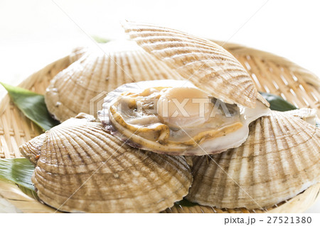 天然ホタテ貝 27521380