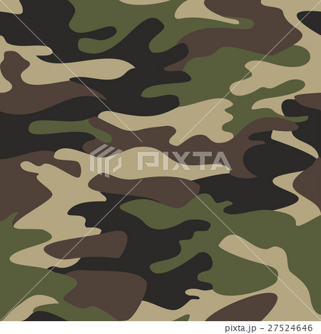 Camouflage pattern background seamless vector Camouflage pattern background seamless vector 27524646