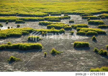 台湾 台中市 台中 27525565