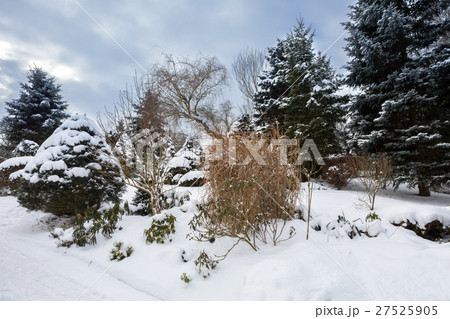 beautiful winter garden covered by snow 27525905