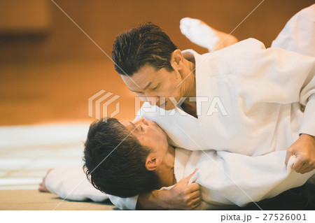 martial artist martial artist 27526001