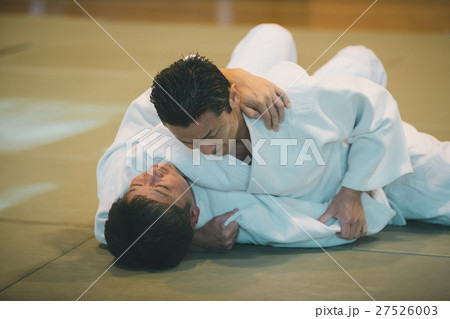 martial artist martial artist 27526003