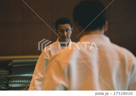 martial artist martial artist 27526010