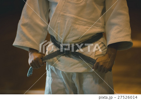 martial artist 27526014