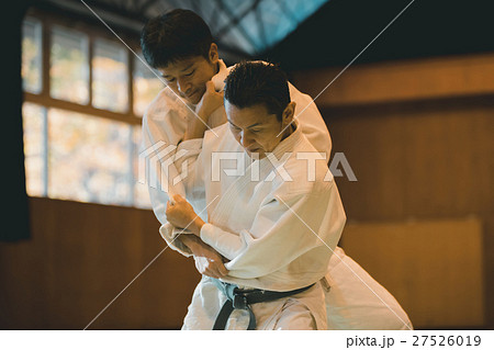 martial artist 27526019