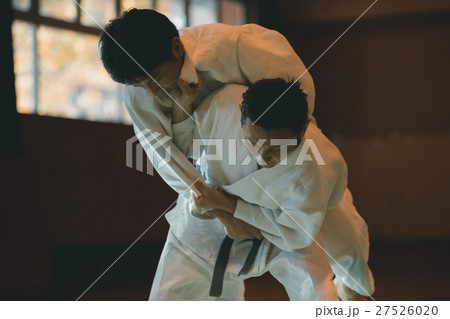 martial artist 27526020