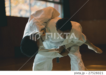 martial artist 27526021