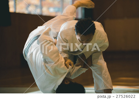 martial artist martial artist 27526022