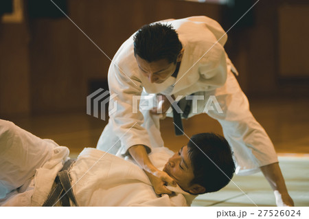 martial artist 27526024