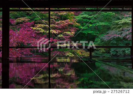 秋の瑠璃光院 27526712