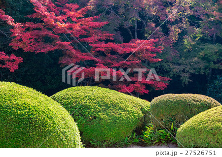 秋の詩仙堂 27526751