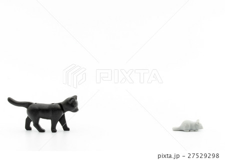 ネコとネズミ:cat and mouse ネコとネズミ:cat and mouse 27529298