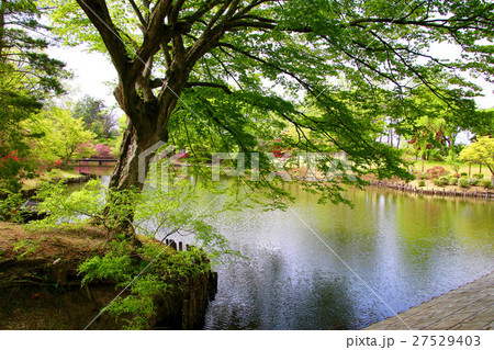 須賀川牡丹園（須賀川市） 27529403