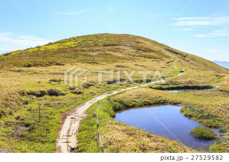 初夏の巻機山へと続く道 新潟県南魚沼市 初夏の巻機山へと続く道 新潟県南魚沼市 27529582