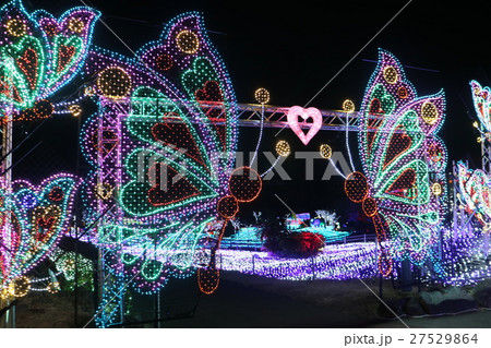 伊豆ぐらんぱる公園『グランイルミ』（2016～7） 27529864