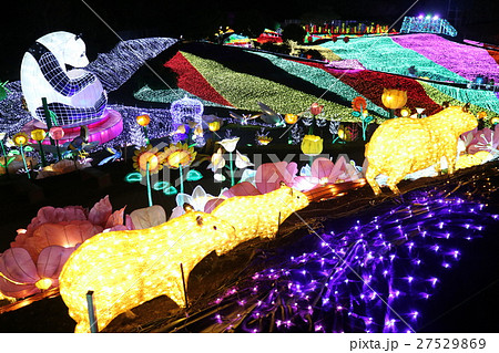 伊豆ぐらんぱる公園『グランイルミ』(2016~7) 伊豆ぐらんぱる公園『グランイルミ』(2016~7) 27529869