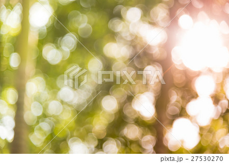 Natural blurred bokeh background. 27530270