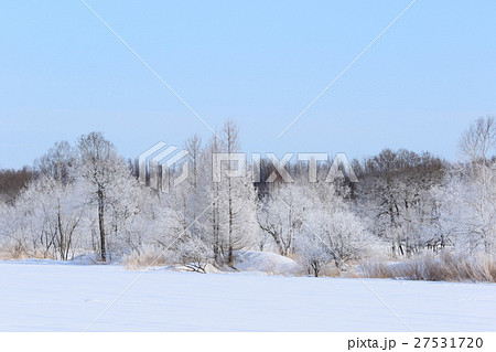 霧氷世界 北海道更別村猿別川 霧氷世界 北海道更別村猿別川 27531720