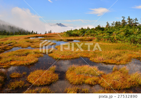 池塘と草紅葉の会津駒ヶ岳稜線 27532890