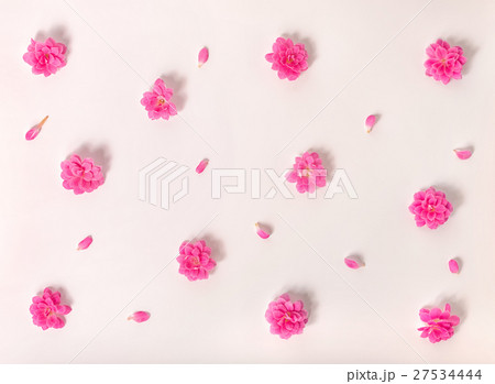 flat lay of  trendy seamless pattern flowers 27534444