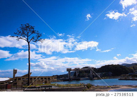 奇跡の一本松 27536513