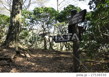 丹沢の山道 27536550