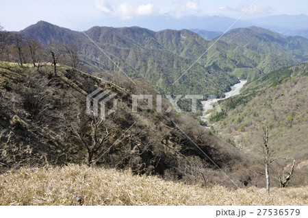 春の丹沢 春の丹沢 27536579