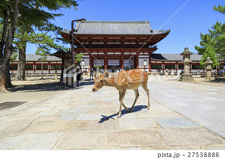奈良県・東大寺の中門と鹿 27538886