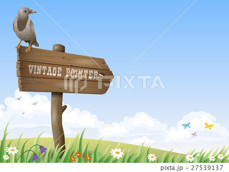 Vintage road sign in a field 27539137