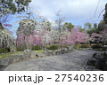 城南宮のしだれ梅 27540236