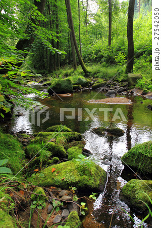 river in the czech forest river in the czech forest 27542050
