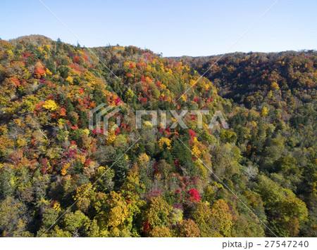 秋の恵庭渓谷(空撮) 秋の恵庭渓谷(空撮) 27547240
