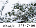 雪の京都 27547409