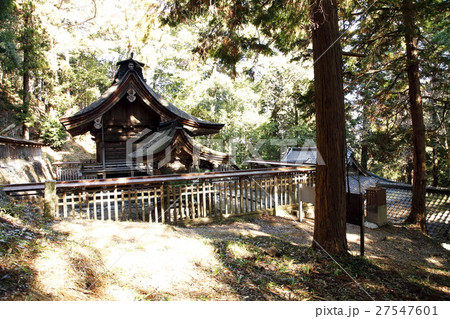 武田八幡宮（本殿：韮崎市） 27547601