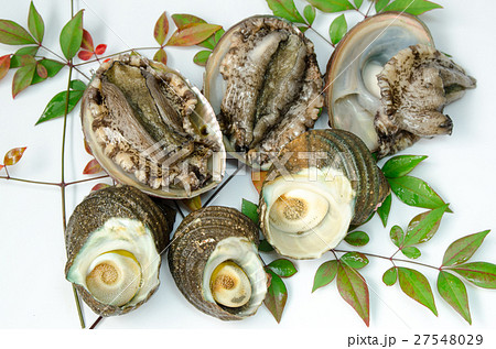 魚介 魚介 27548029