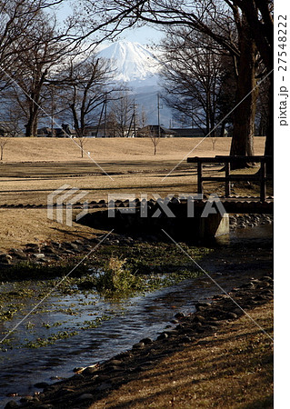 信玄堤公園と富士山 27548222