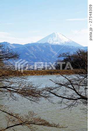 矢木羽湖(やぎはこ:甲斐市) 矢木羽湖(やぎはこ:甲斐市) 27548309