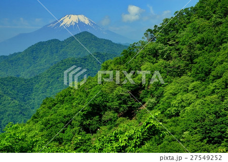 丹沢・檜洞丸から富士山と新緑の山並み 丹沢・檜洞丸から富士山と新緑の山並み 27549252