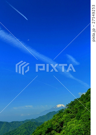 新緑の丹沢・檜洞丸稜線から見る富士山と飛行機雲 新緑の丹沢・檜洞丸稜線から見る富士山と飛行機雲 27549253